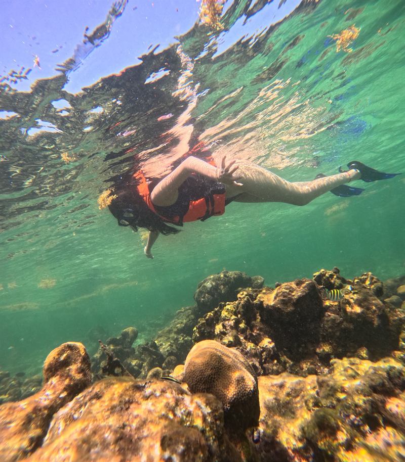 Persona haciendo snorkel sobre los corales del arrecife de Mahahual